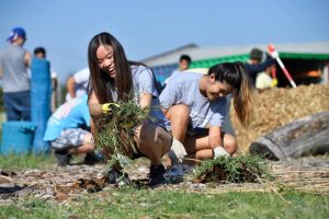 Two students removing the unwanted grass