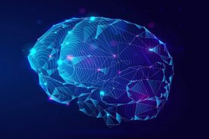 A stylized illustration of a brain in a blue hue.
