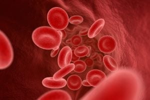 Rendering of blood cells inside a vein.